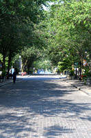 Empire State Ride 2025-4162